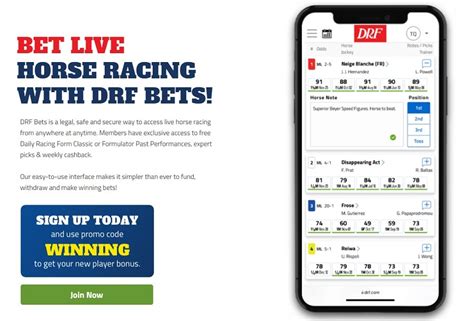 drf bets mobile